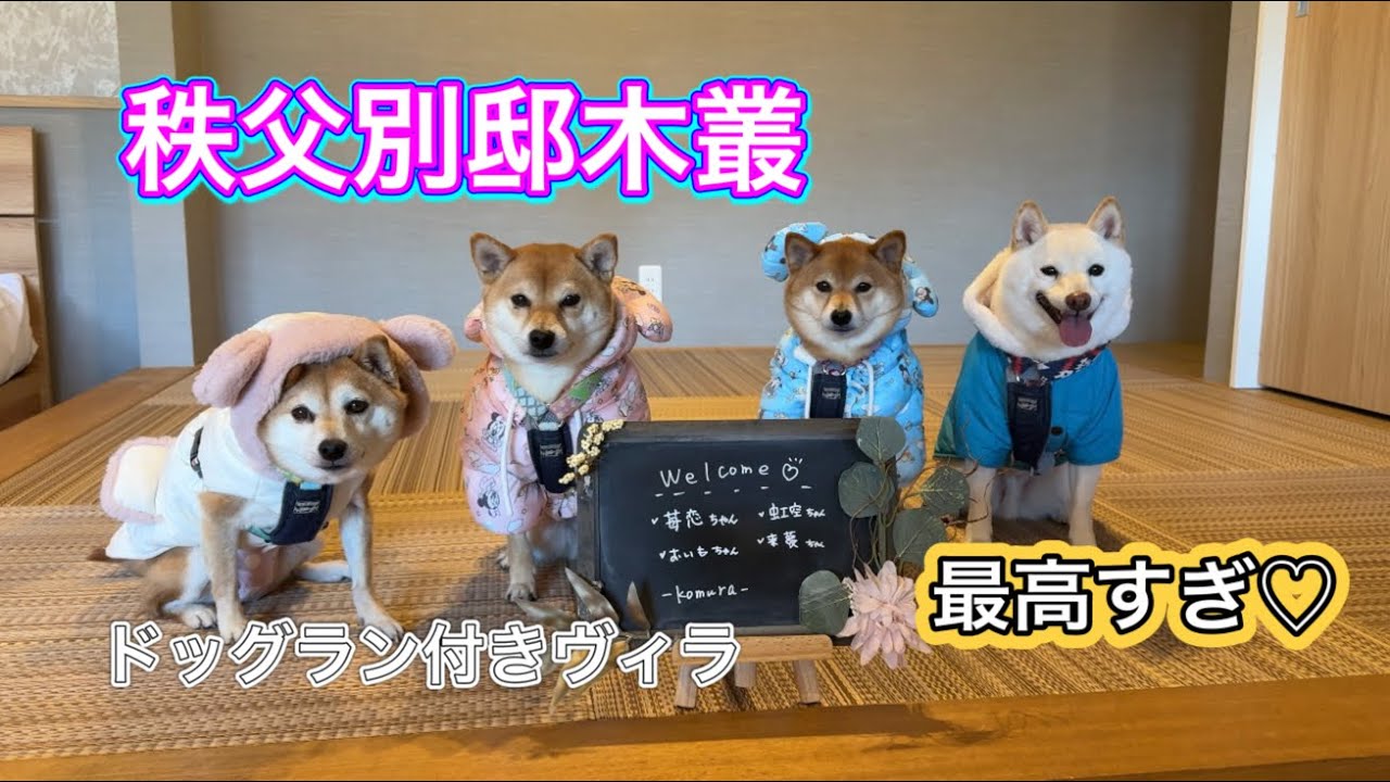 #22 🐕【犬連れ旅行】秩父別邸komuraに４柴とお泊まり❣️プライベートヴィラが最高すぎた🩷