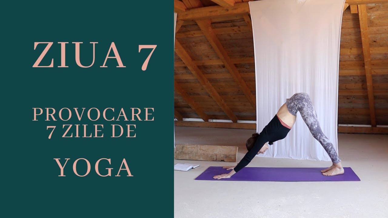 🌞 Ziua 7 &ndash; Mișcare pentru Tot Corpul | 7 Zile de Yoga pentru &Icirc;ncepători