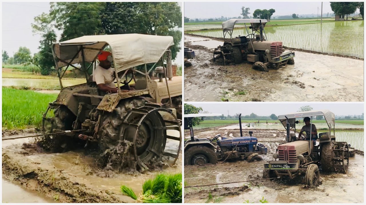 ਐਂਟਰ ਨੂੰ ਕੱਢਣ ਆਇਆ 60 ਵੀ ਗੁਡ ਗਿਆ ਫੇਰ ਦੇਖੋ   ਕਿਹੜੇ ਨੇਂ ਕੱਢੇ