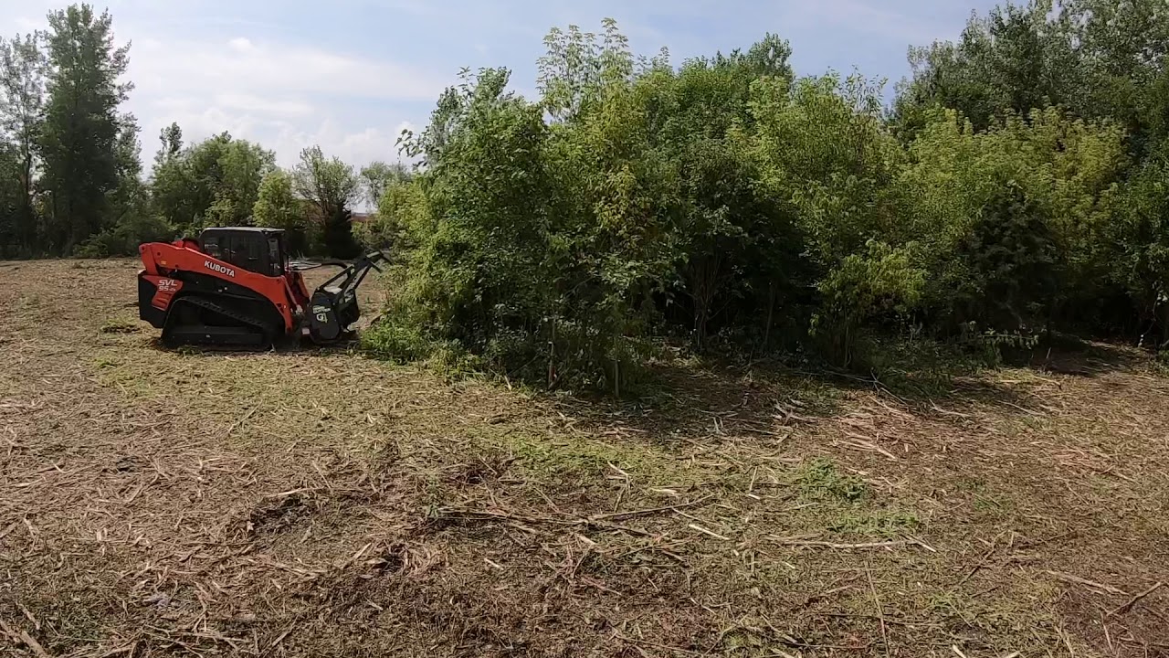 Kubota SVL95 with Loftness G4 Forestry Mulcher