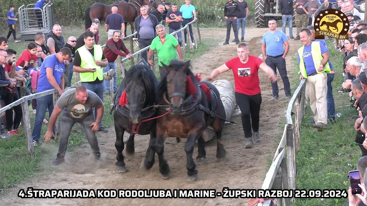 Soko i Rubin od Jasmira Babića &scaron;ampioni Župskog Razboja u srednjoj kategoriji (22.09.2024)
