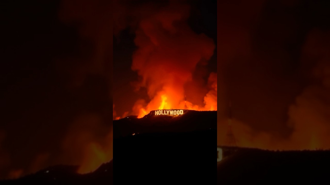 🔥 New Fire Ignites in Hollywood Hills #LA #California #hollywoodsign