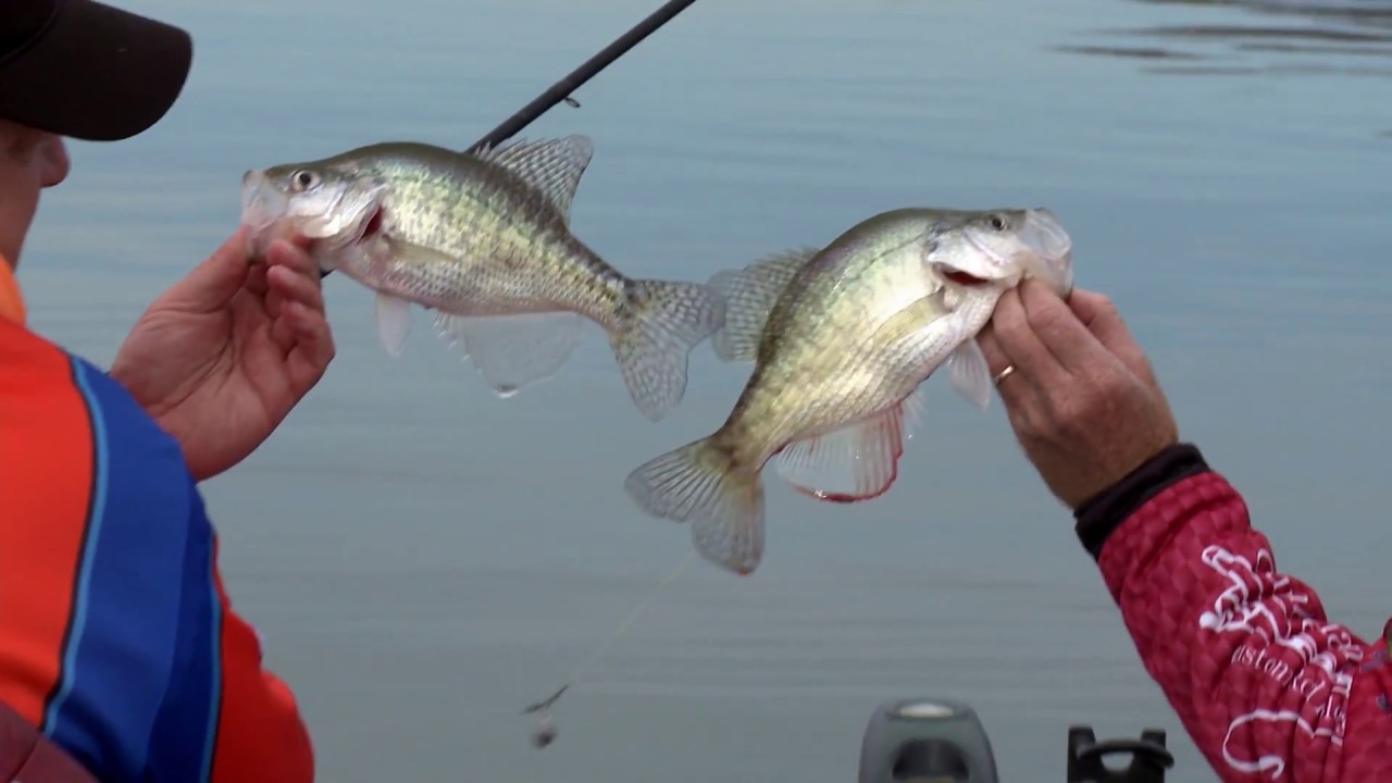BrushPile Fishing - Tom Hankins on Lake Lemon Indiana