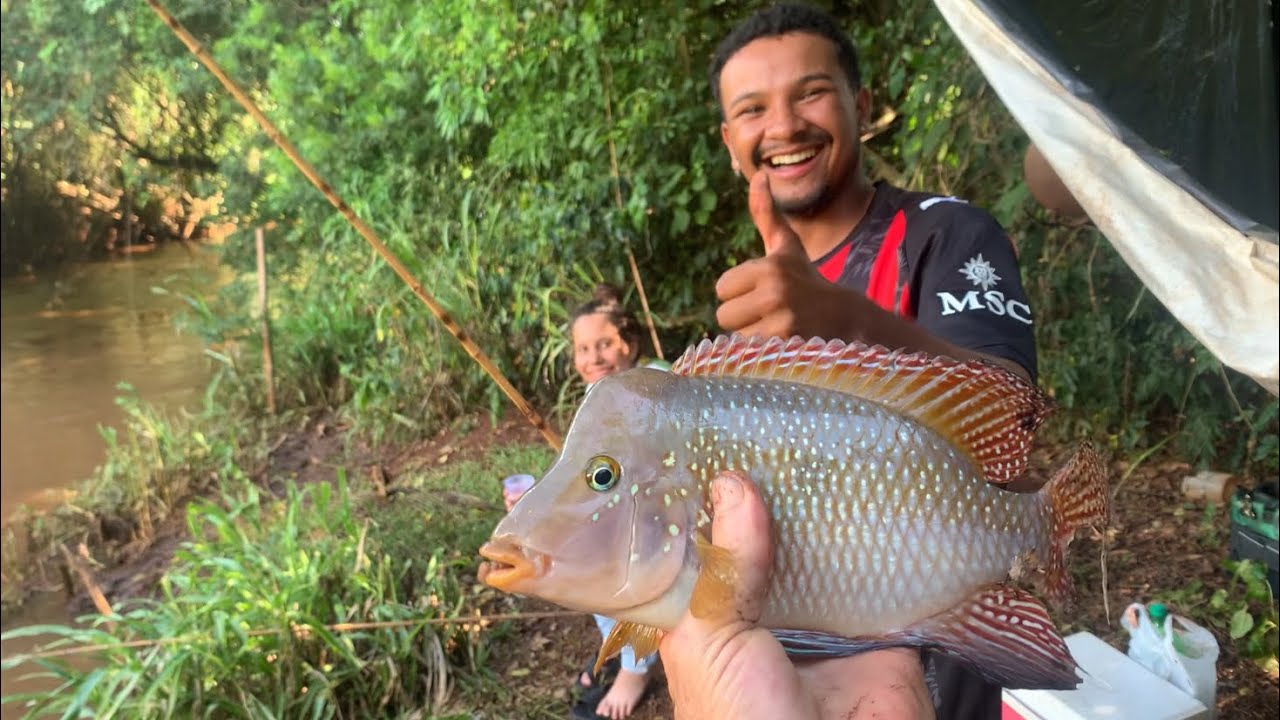 SENSACIONAL pescaria RAIZ saiu ate um DOURADO 
