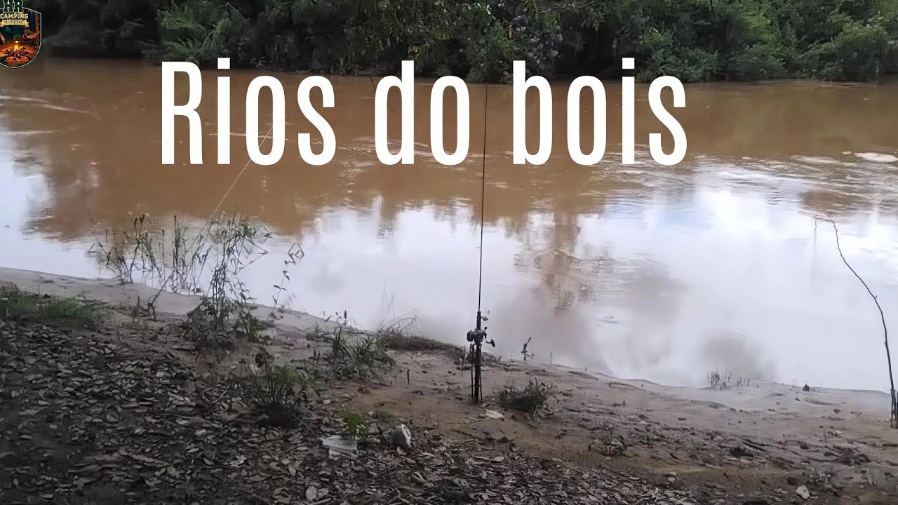 pescaria de tilápia