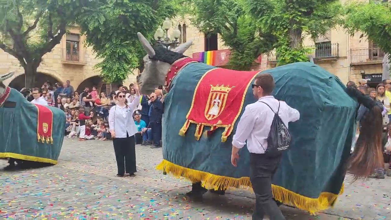 Festes de Sant Maties -Montblanc 18 05 de 2024+4