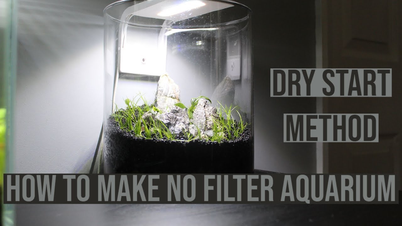 How To Make a No Filter Planted Bowl Aquarium dry start method  ( NoFerts NoCo2 aquascape)