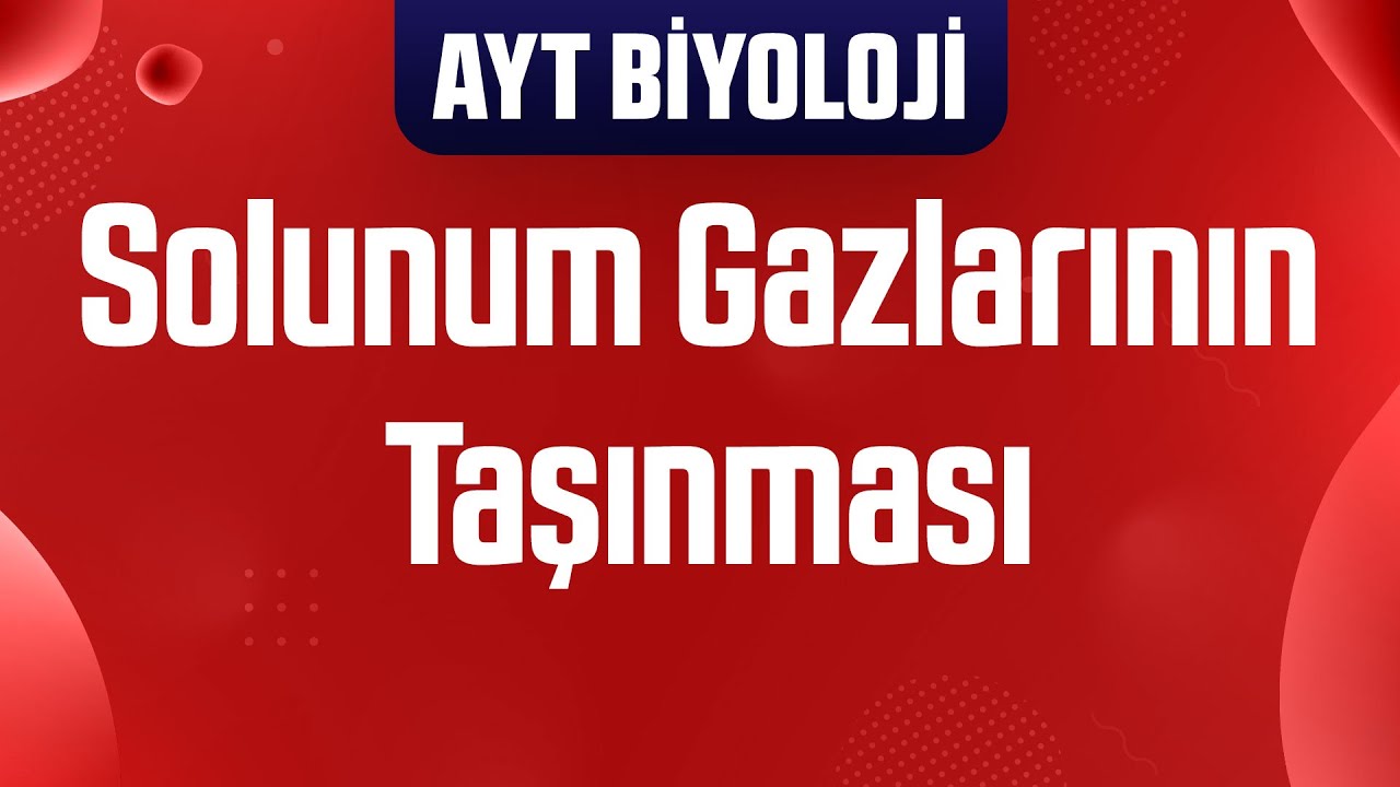 25) Aras Tuğcu Çizimleriyle Solunum Gazlarının Taşınması