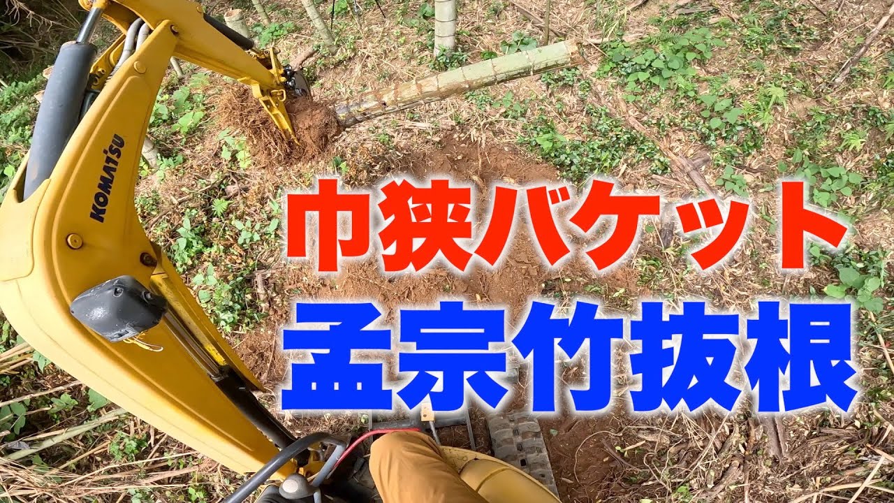 ミニミニユンボに巾狭バケットを付けて孟宗竹を抜根する。