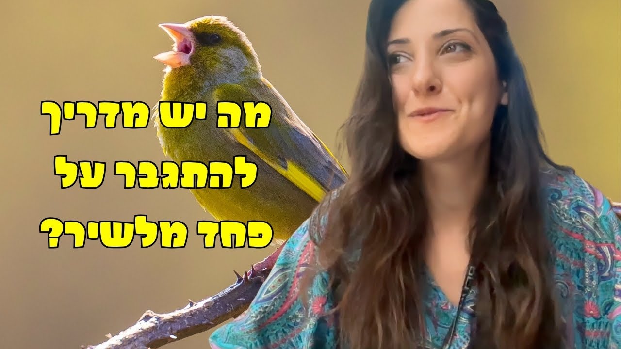 פרק 20 - מפחד לאי-בוק