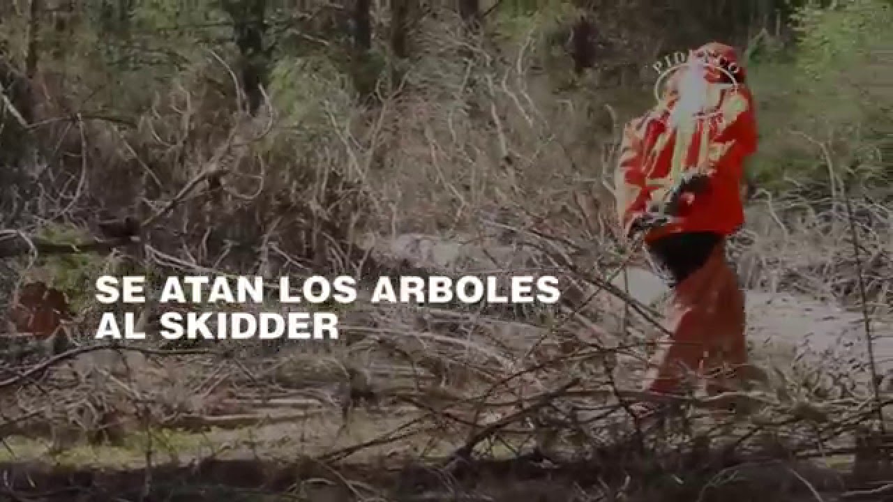 Documental Cosecha Forestal
