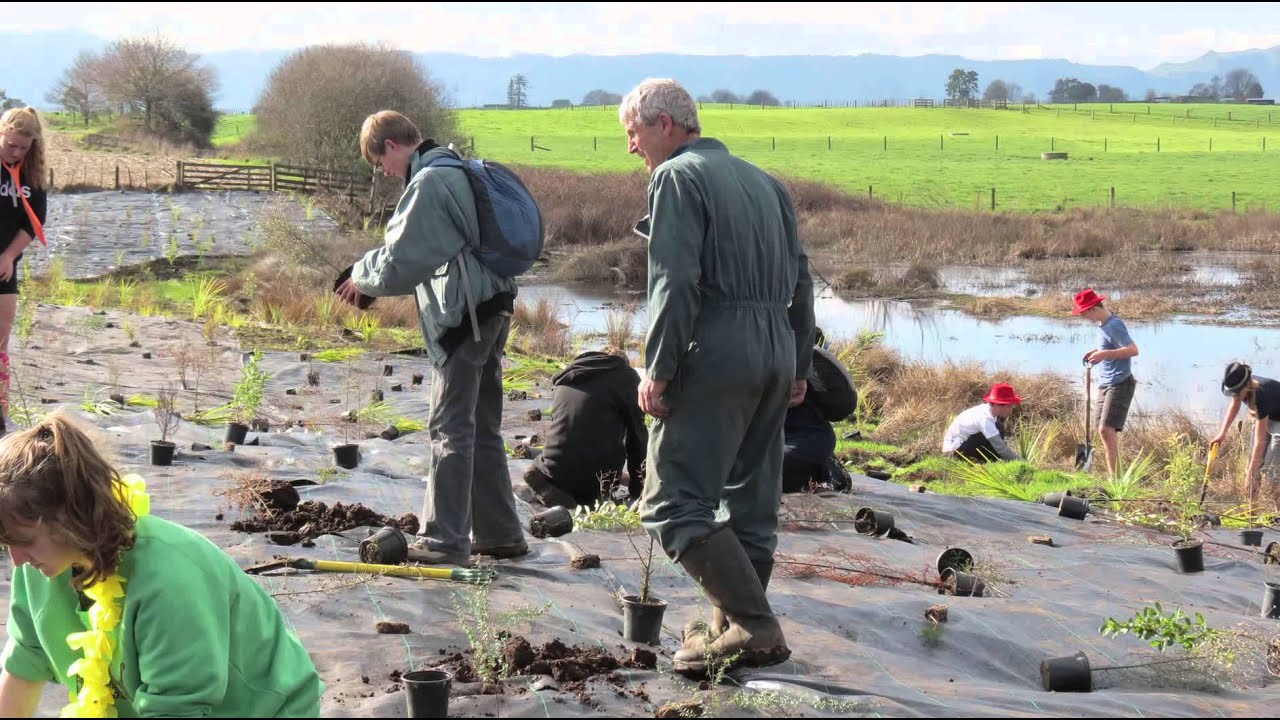 Wetland Restoration & Nutrient Management
