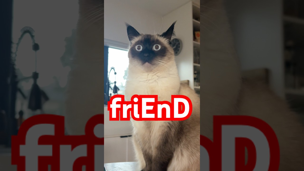 WEN U a,see Yuor friEnd.//