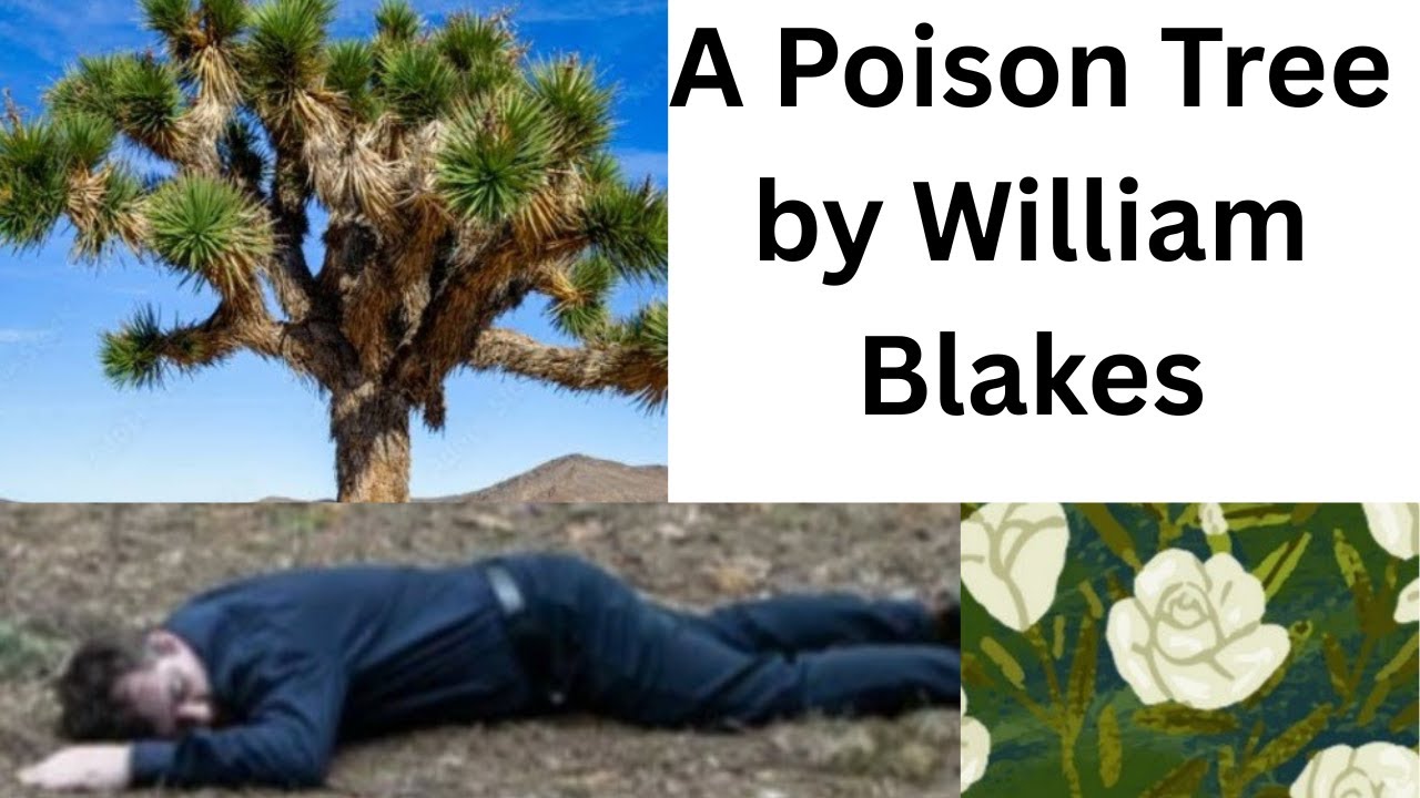 A poison Tree by William Blake summary and analysis in ODiA