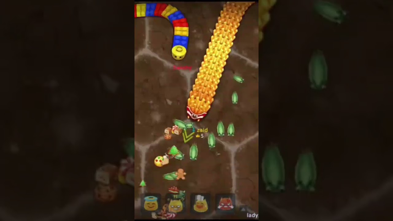 Little Big snake