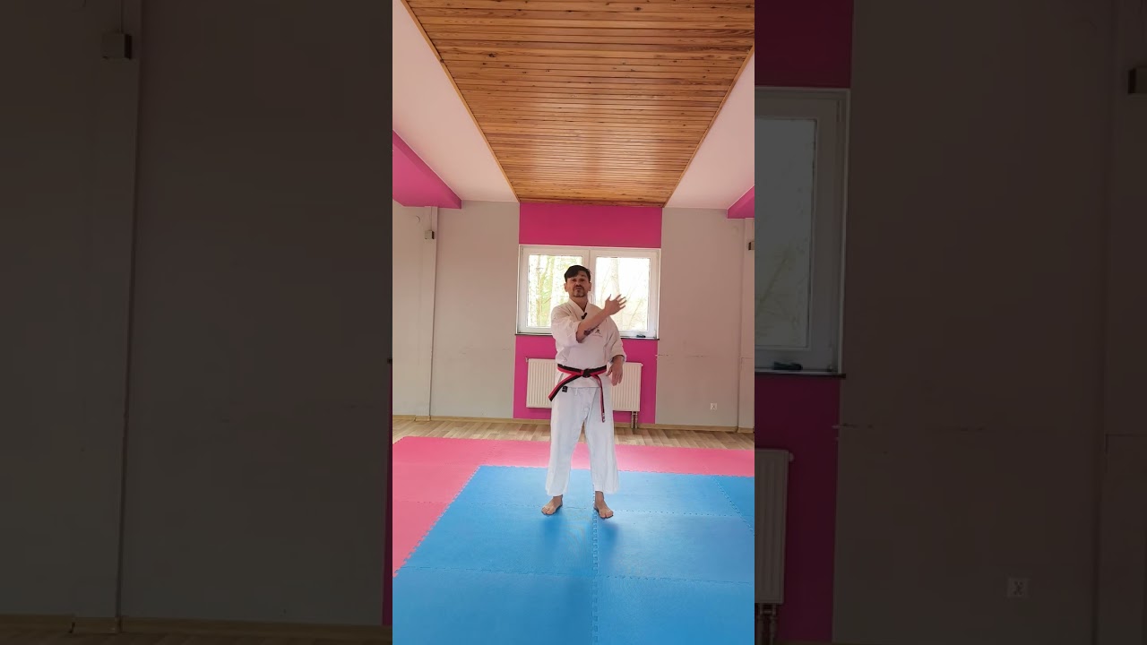 4 kyu otoshi kakato geri