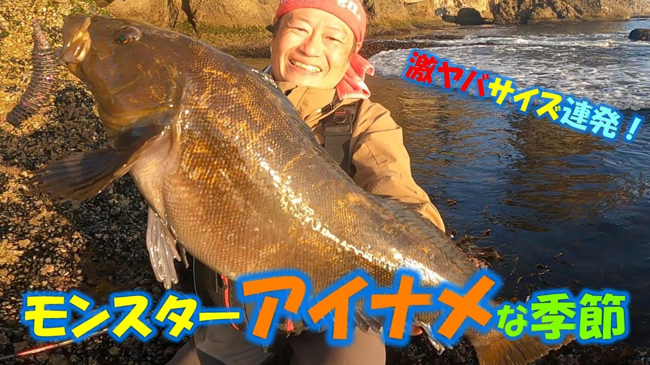 【ハイシーズン突入！モンスターサイズ連発磯ロック】@ハンター釣魂チャンネル