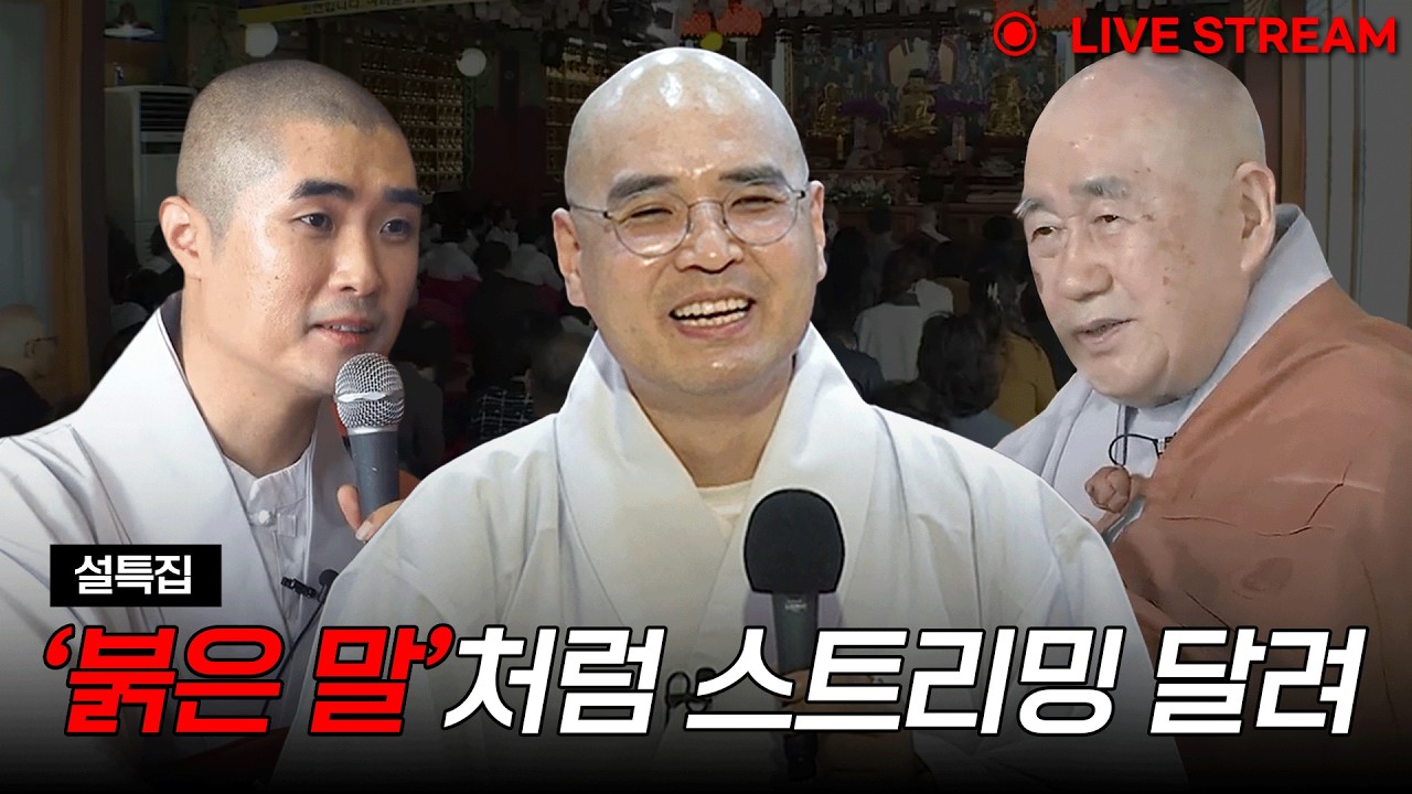 [🔴LIVE🔴] 2026년 상반기 순위 결산! 설특집 라이브 스트리밍