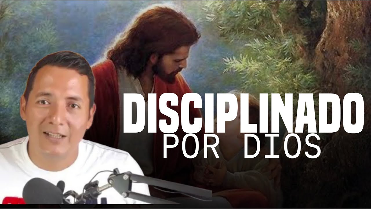 DAVID BERNAL/ HARPAZO