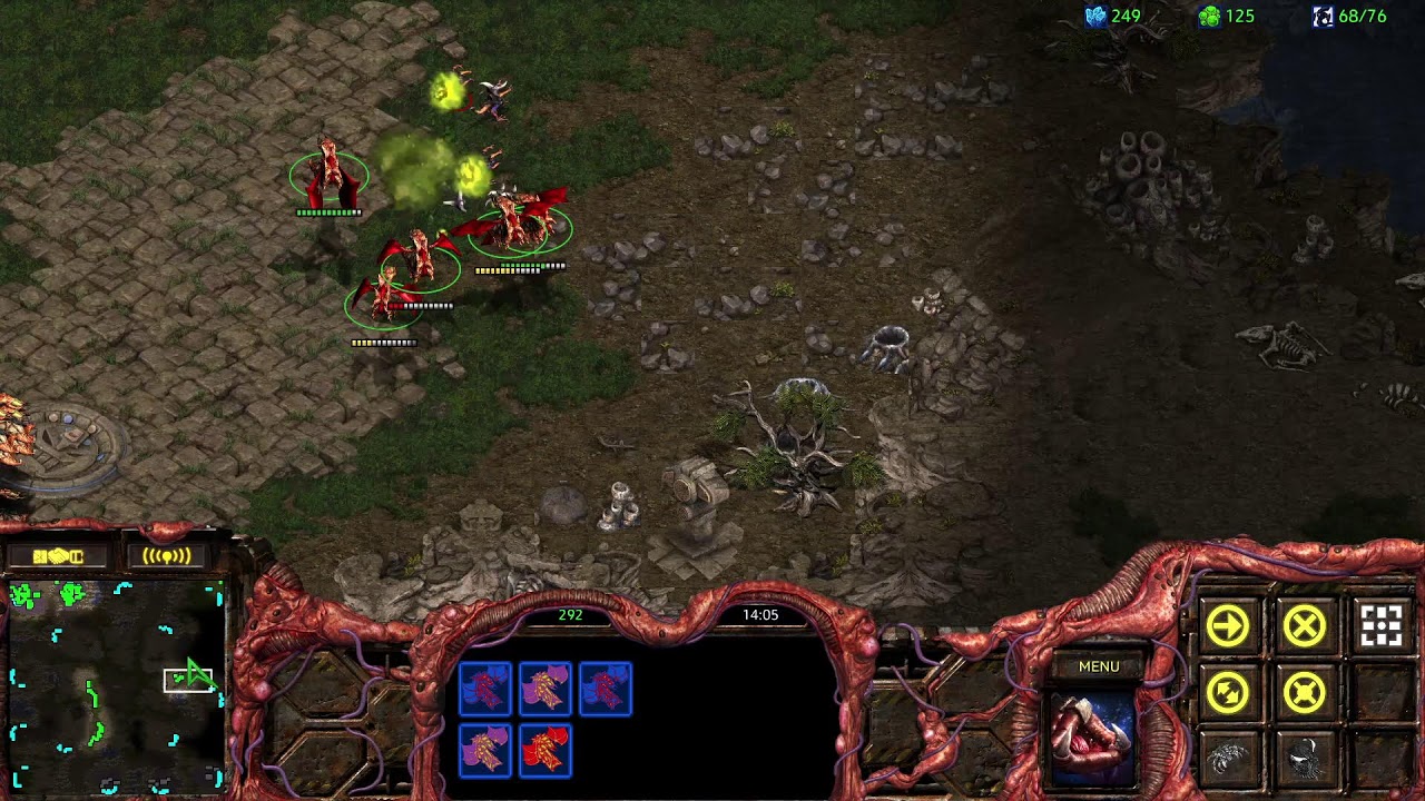 🔴LIVE!! Ladder D- / D+