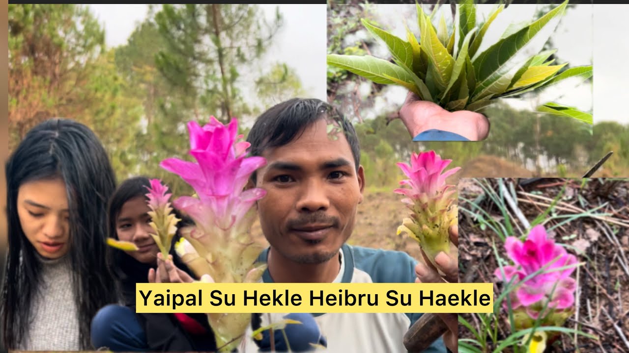 Yaipal Su Hekle Heibru Manasu  Kangmet Metnaba Hekle