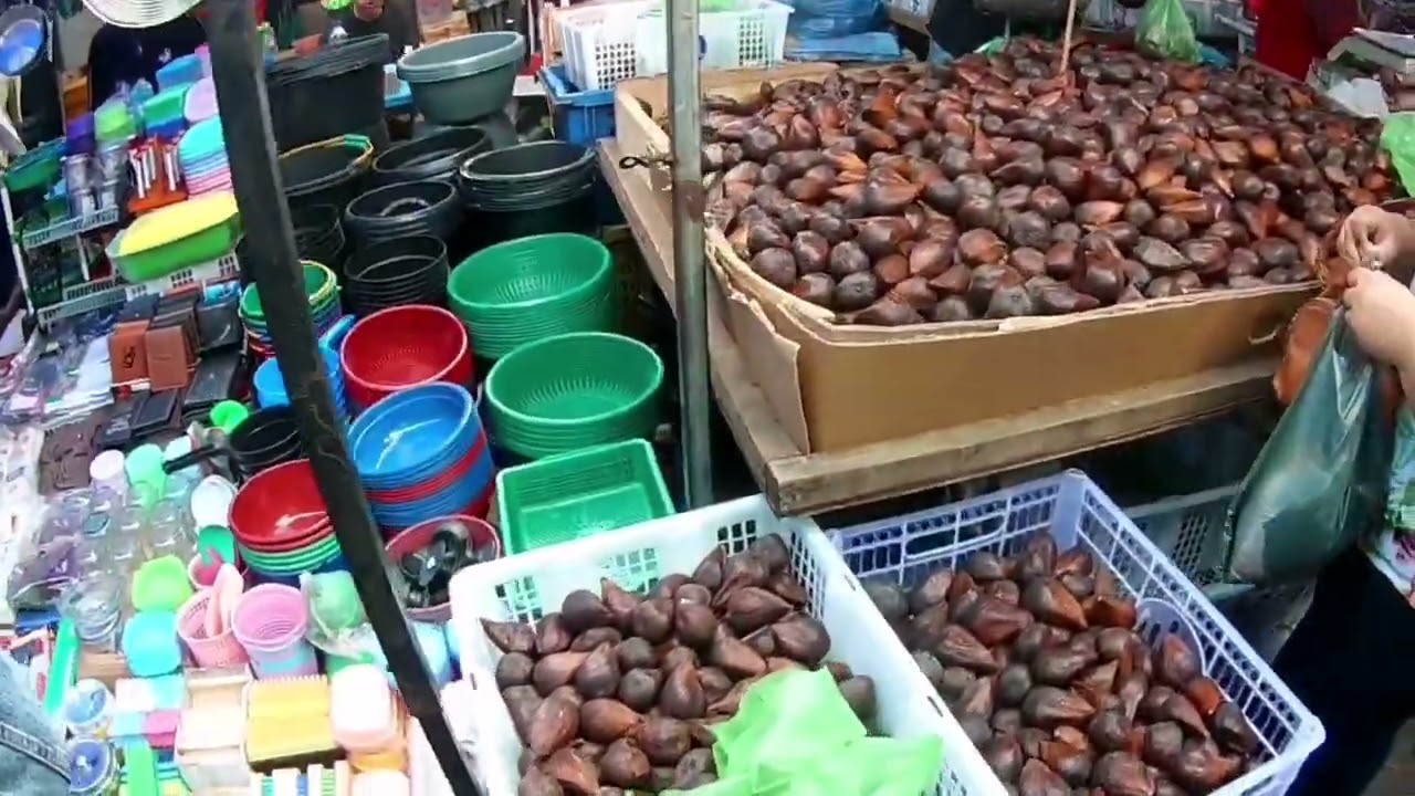 Batam Trip Day 2. Part 1. Exploring Local Market and Popular Shopping Mall.