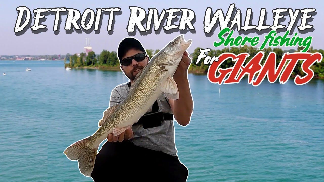 Shore fishing Detroit River for GIANT Walleye | I got my LIMIT