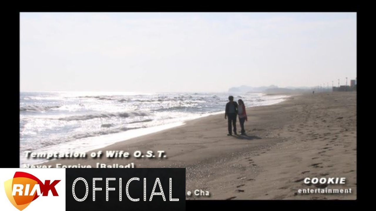[MV] 차수경 - 용서 못해 (Ballad Ver.) (SBS 드라마 아내의 유혹 OST)