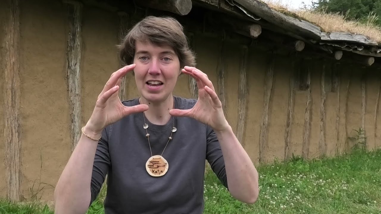 Zurück in die Steinzeit - Leben in der Urzeit