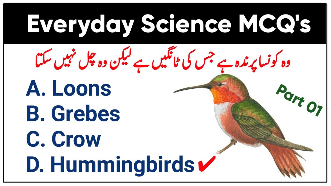 Most Repeated Everyday Science MCQ's For CSS PAEC FPSC NTS ETEA | Top 100 General Science MCQs