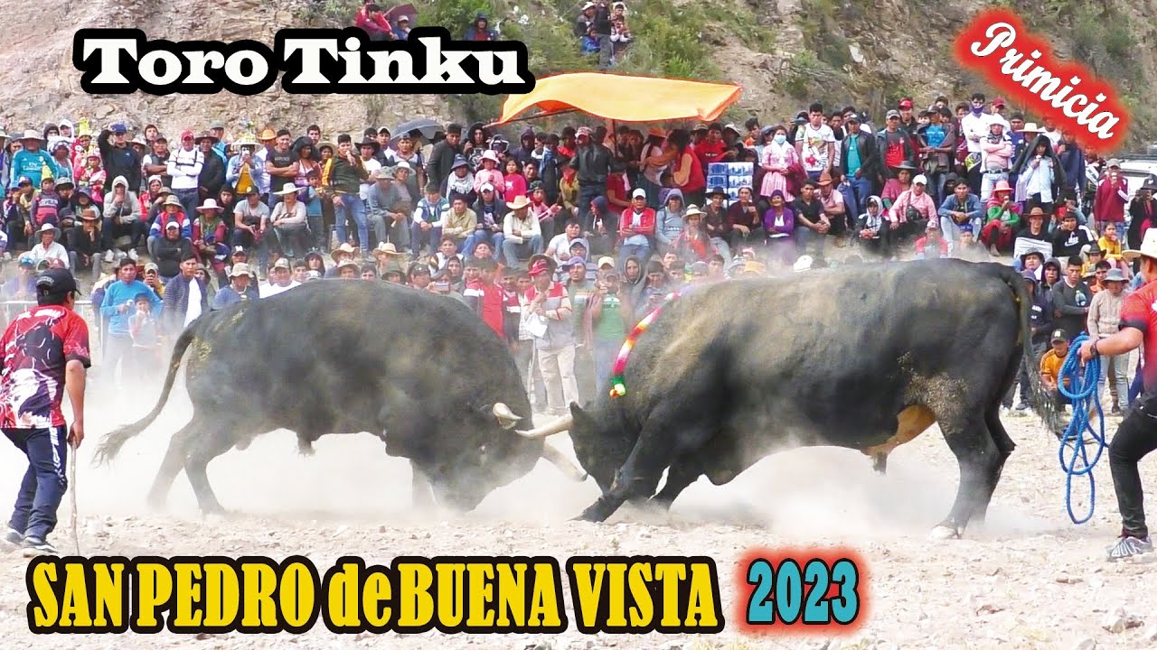 Toro Tinku de SAN PEDRO DE BUENA VISTA 2023. 
