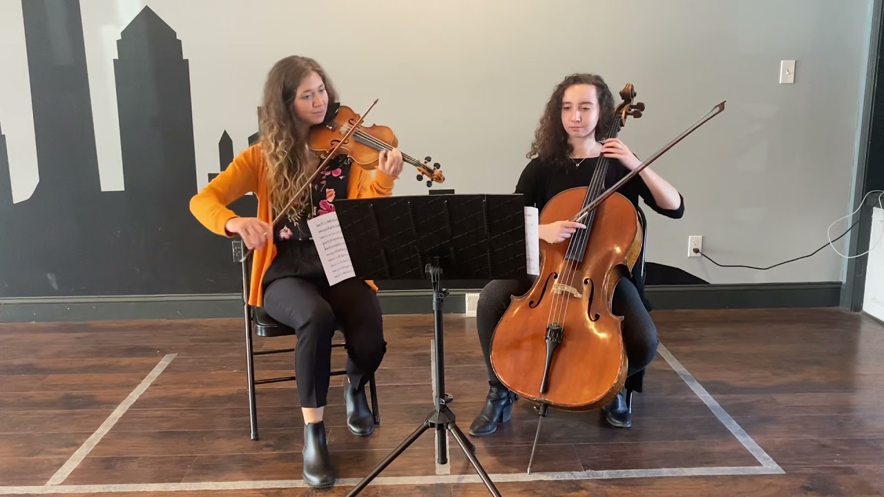 Violin and cello cover of willow by Taylor Swift