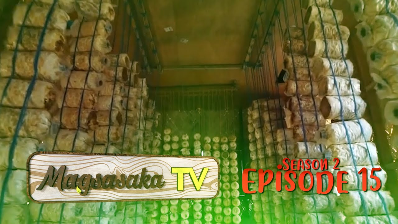 Mushroom Production (Episode 15)
