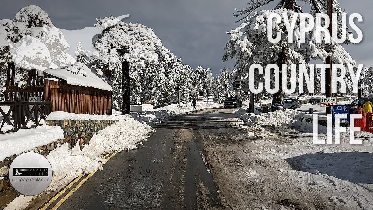 Troodos Winter Drive From Trimiklini To Troodos Square - February 2024
