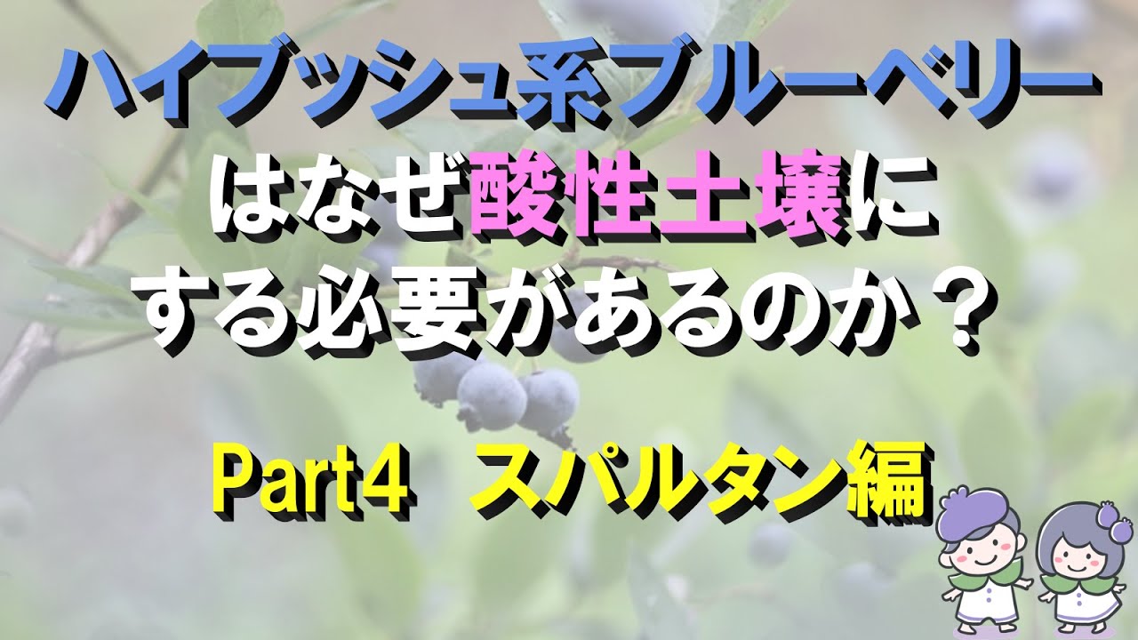 なぜブルーベリーは酸性土壌にする必要があるか？part4スパルタン編