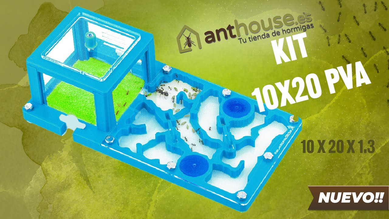 KIT 10X20 PVA Nuevo Modelo en Formato 3D, un Hormiguero Economico, en 5 colores, Con doble PVA.