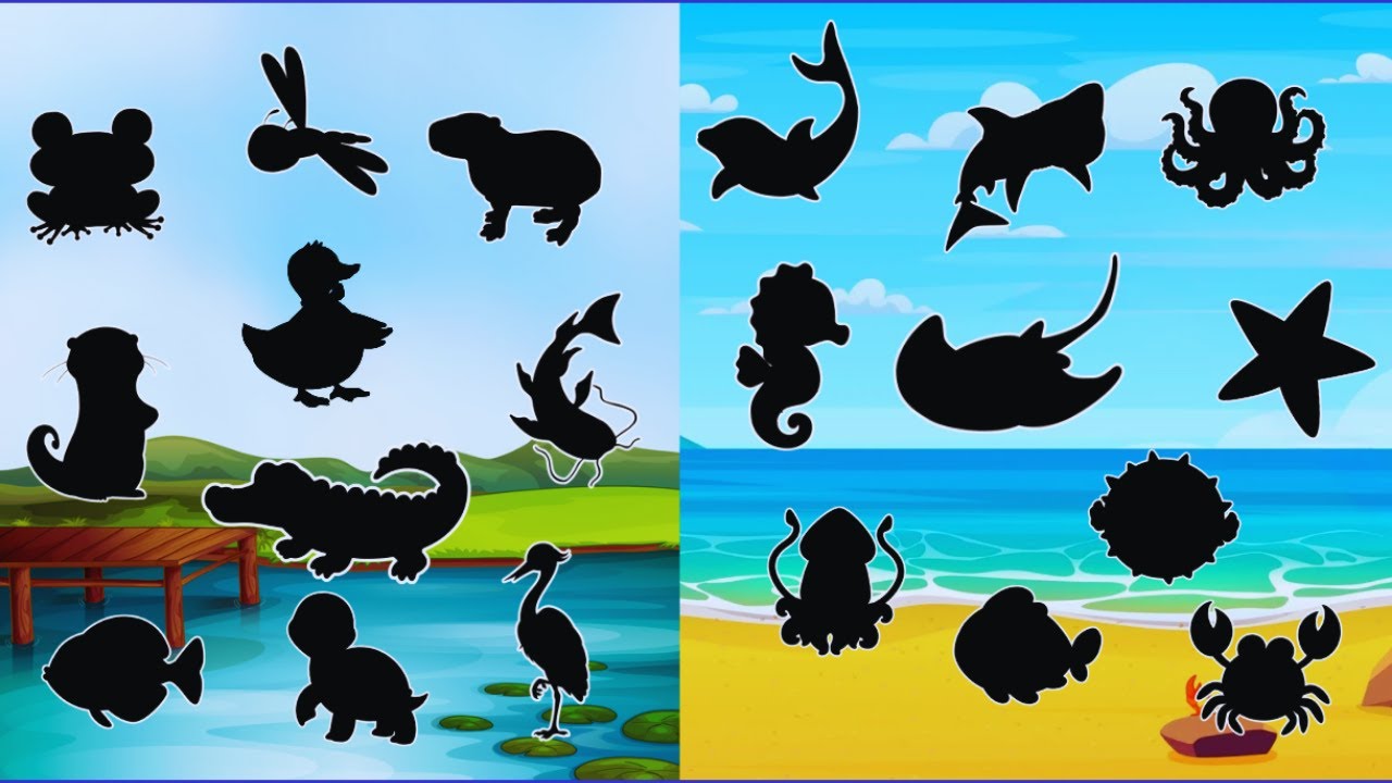 Adivinhe o Animal! 🌊 Desafio da Sombra com Animais do Lago e do Mar