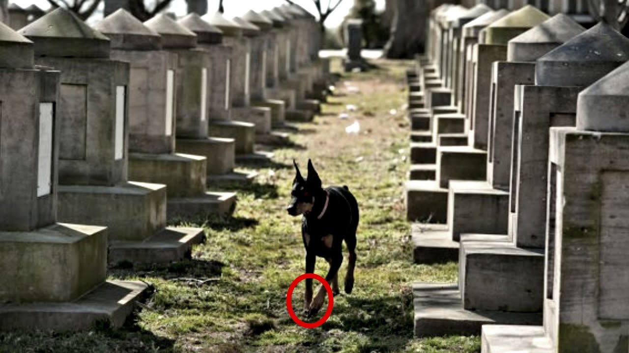 Die WAHRE Horrorgeschichte...