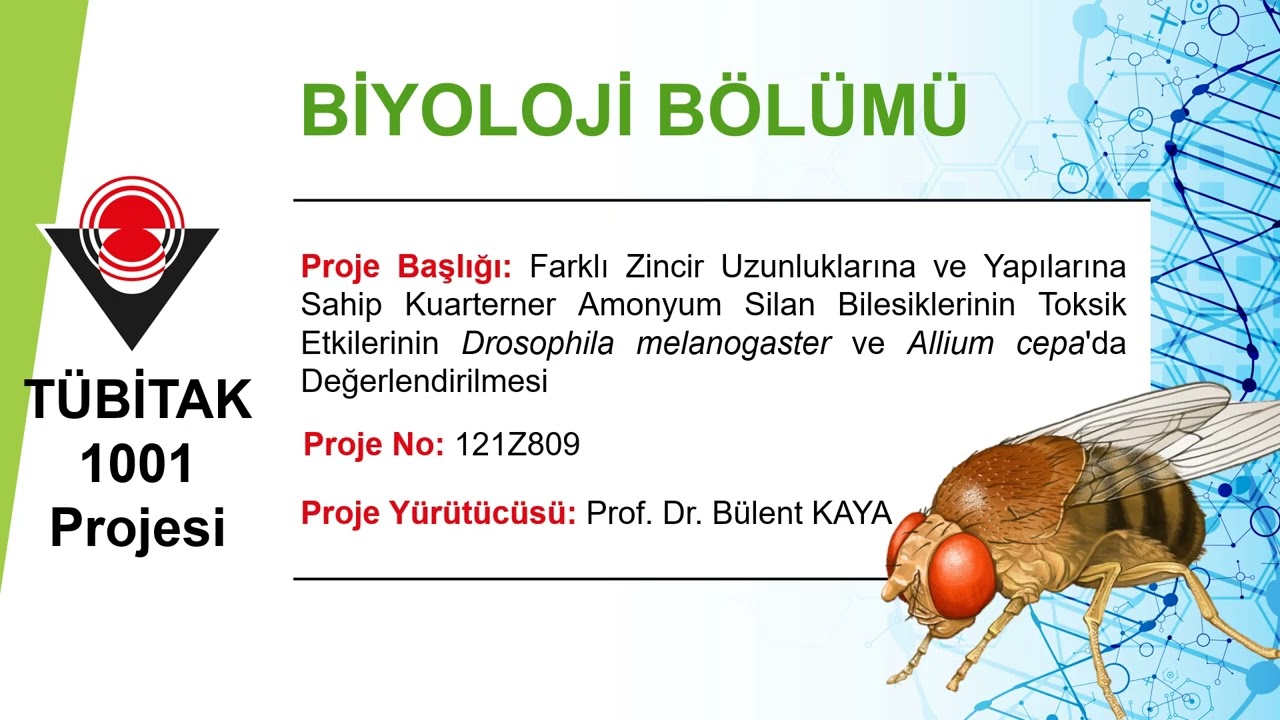 Akdeniz Üniversitesi Fen Fakültesi Biyoloji Bölümü 2023 Bilimsel Çalışmaları