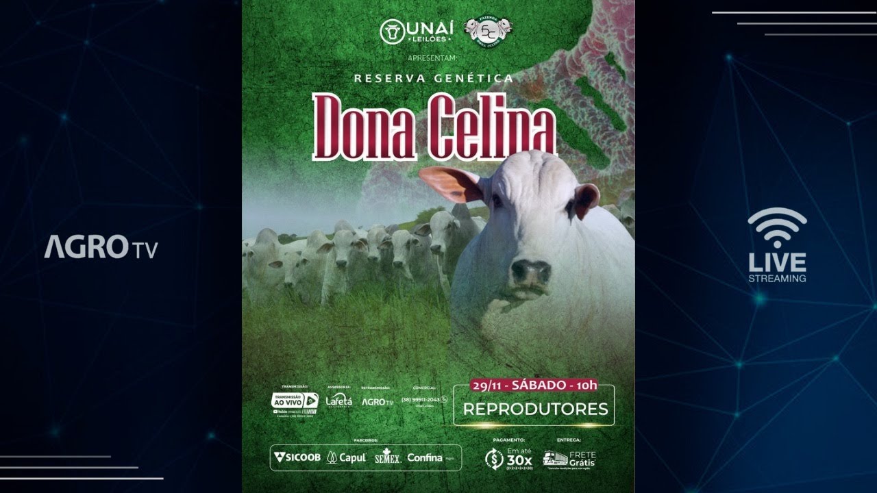 LEIL&Atilde;O RESERVA GEN&Eacute;TICA DONA CELINA   - UNA&Iacute; LEIL&Otilde;ES - 29/11/2025