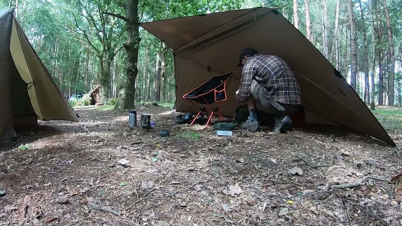 В лесу с одним тигром танграмом.