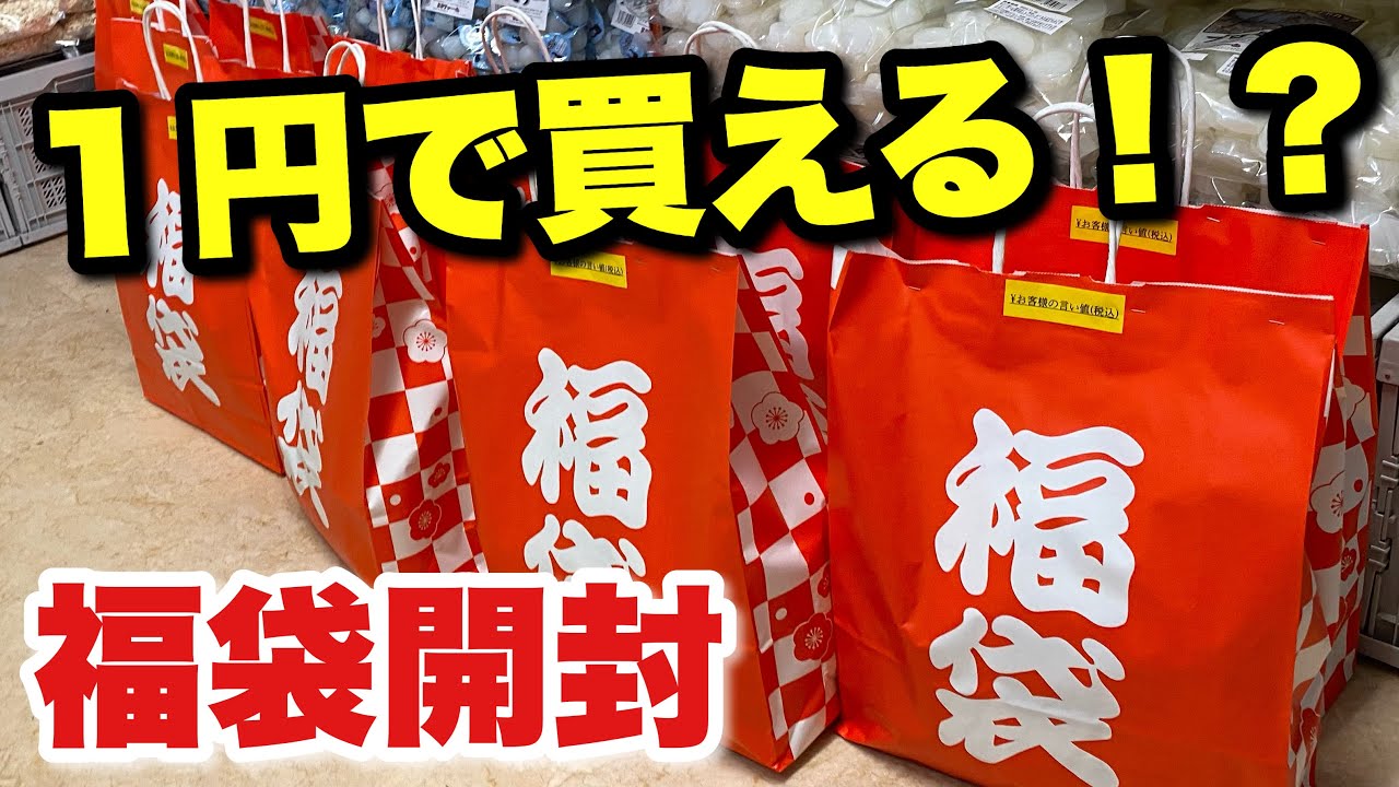 言い値で買えるクワガタ福袋を開封してみた【クワガタ飼育】INSECT JOKER初売り2022