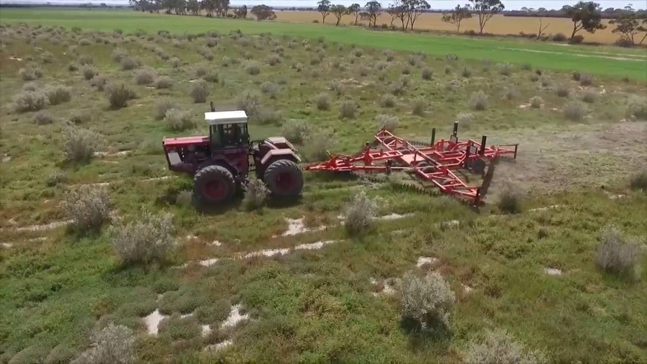ChainBar - Saltbush in WA