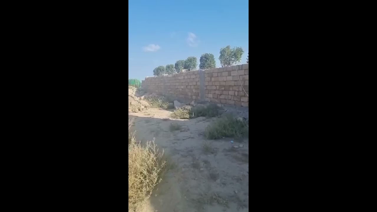 Məmur &ouml;zbaşınalığı 3