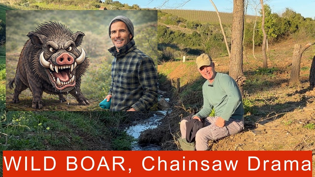 Wild boar in the creek,...chainsaw trouble at the quinta