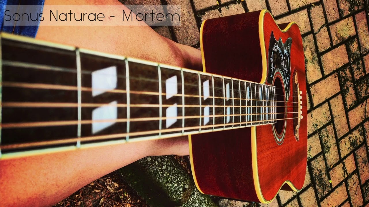 Sonus Naturae - Mortem