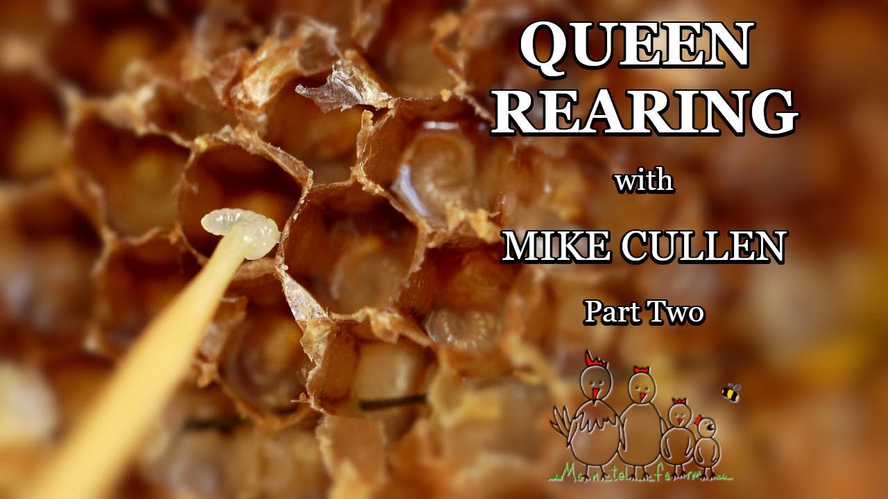 Queen Rearing with Master Beekeeper Mike Cullen - Part Two