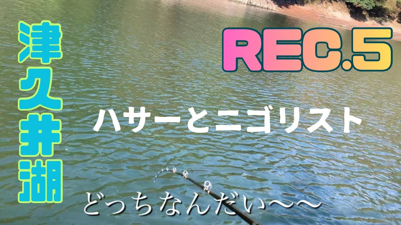 ハサーとニゴリスト【11月中旬　津久井湖　バス釣り】