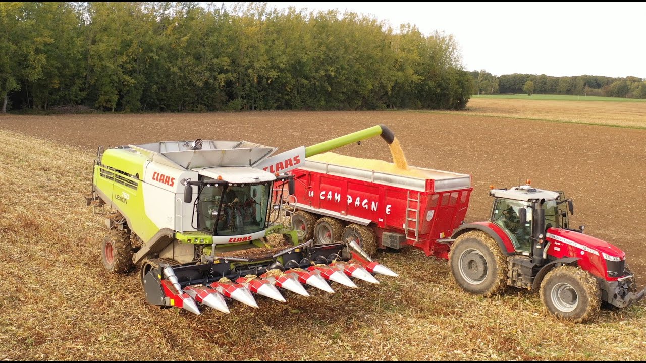 MOISSON Maïs Bio 2020 /CLAAS Lexion 760/ MASSEY FERGUSON 8735 S / BEAUVAIS