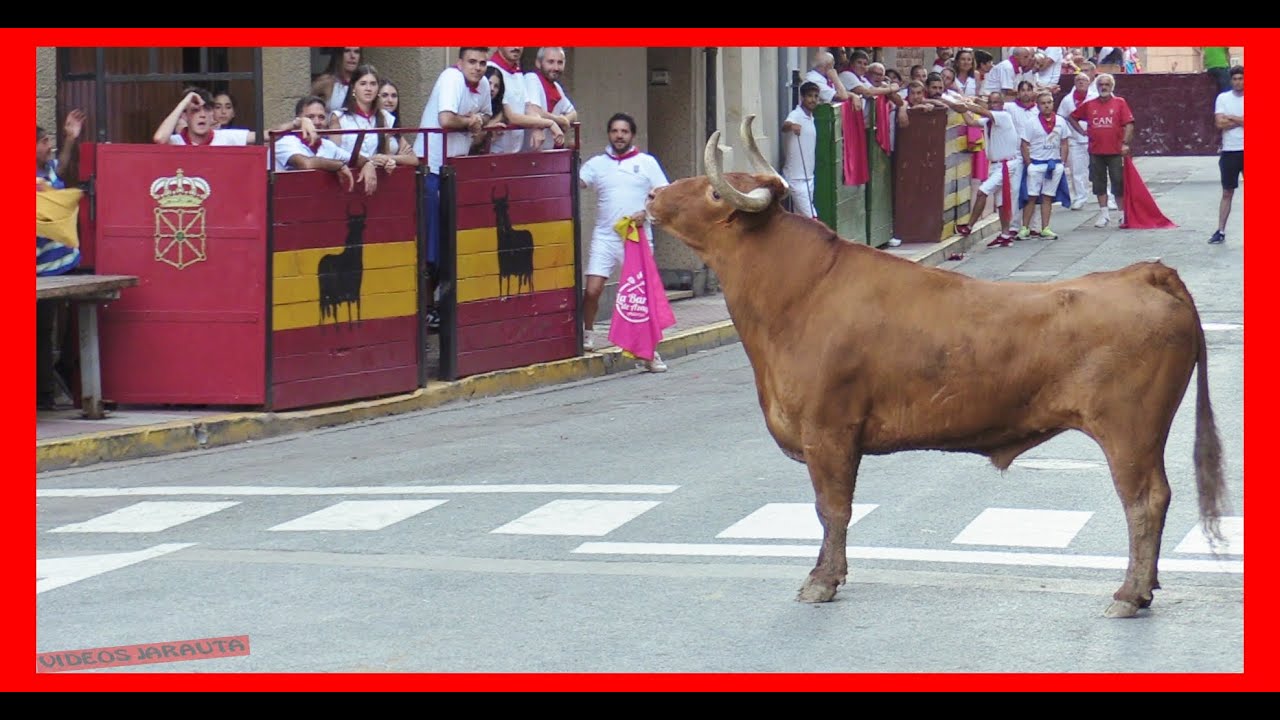 AZAGRA  NAVARRA  TARDE VACAS EN CALLE  MIERCOLES 13 SEPTIEMBRE 2023  GANAD ARRIAZU